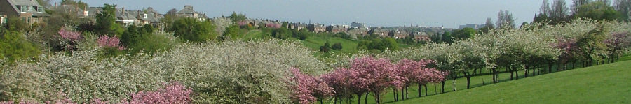 View of Braidburn Valley Park - May