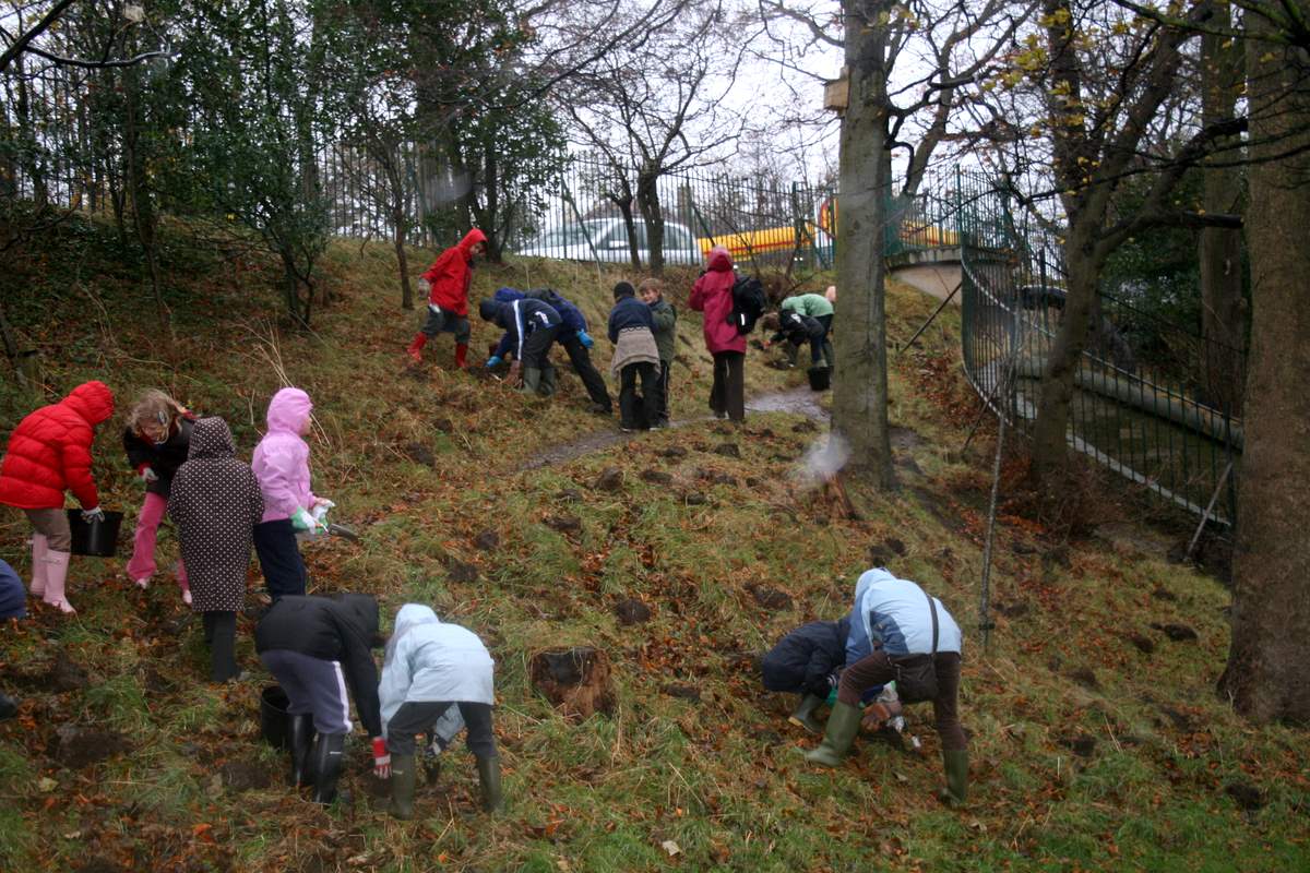 Bulb Planting at the north end of the park 2007
