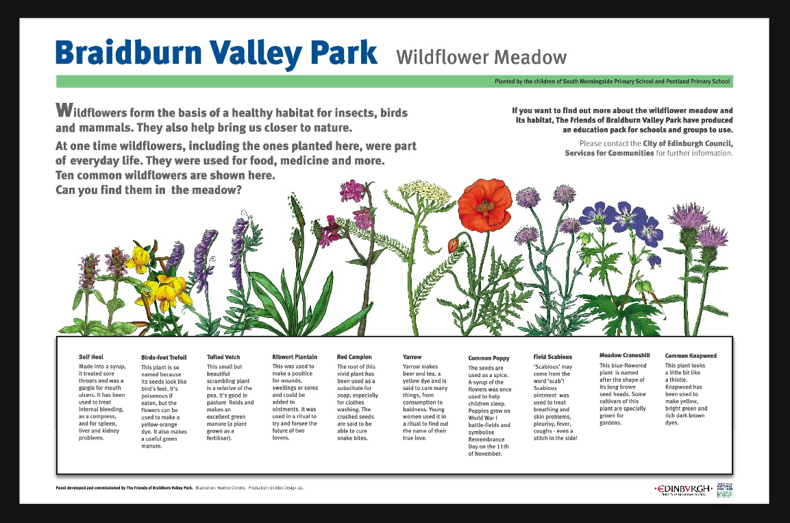 Wildflower Meadow Interpretation Panel Braidburn Valley Park Edinburgh