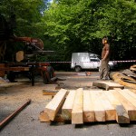 Milling of Cherry Tree logs Milling of Cherry Tree logs for benches