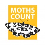 Moths Count Moths Count