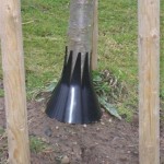 strimmer guard