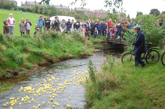 Duck Race 2008