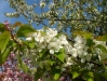 dscf2609